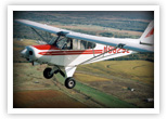 Roger Disrud in his Piper Super Cub