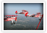 The Red Baron Pizza Squadron
