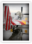 Reflections of P-51D &lsquo;American Beauty&rsquo; at the Gathering of Mustangs and Legends