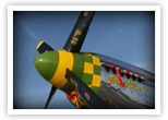 P-51D 'The Millie G' at the Gathering of Mustangs and Legends
