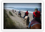 Riding on the beach near Bodega Bay, California