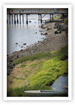 Seashore in Bodega Bay, California