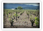 Featured Work Gallery